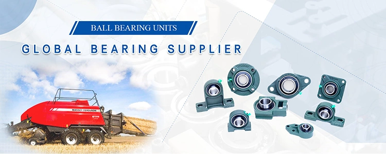 China Hot Sale Ss-Ucppl205 Plastic Pillow Block Bearing Suppliers