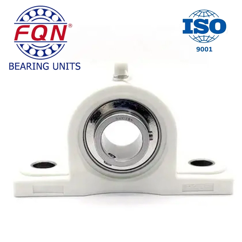 China Hot Sale Ss-Ucppl205 Plastic Pillow Block Bearing Suppliers