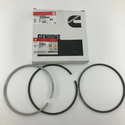 4090028 K19 Qsk19 Set fasce elastiche Set guarnizioni motore inferiore Set pistoni motore Set cuscinetti Radiatore olio Guarnizione inferiore Anello di tenuta motore superiore per Cummis